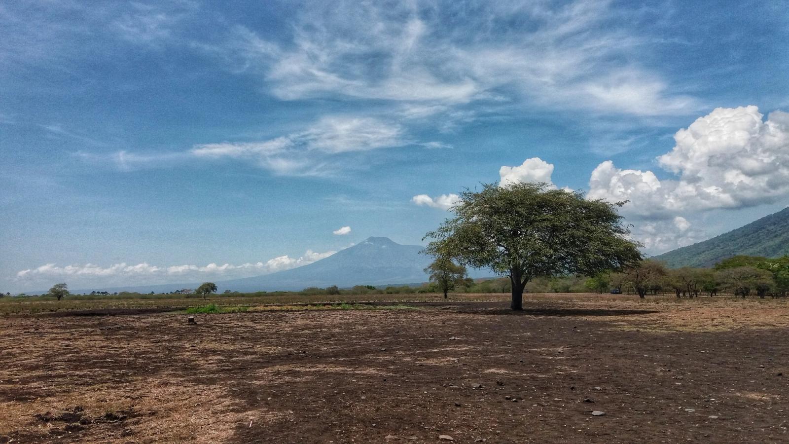 7 Days of Wildlife in East Java: Baluran, Alas Purwo and Sukamade — Taman Nasional Baluran