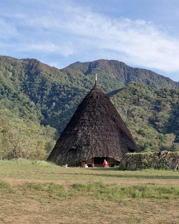 7 Days in Flores: Wae Rebo and the Manggarai Highlands — Wae Rebo village, Flores Island, Indonesia, 20250824 0723 2999
