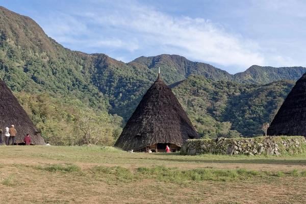 7 Days in Flores: Wae Rebo and the Manggarai Highlands — Wae Rebo village, Flores Island, Indonesia, 20250824 0723 2999