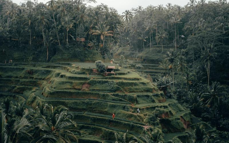 Bali for solo travellers — Ubud jungle, Canggu beaches and Uluwatu sunsets