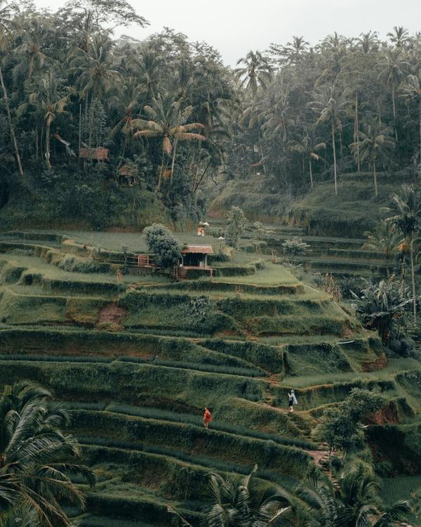 Bali for solo travellers — Ubud jungle, Canggu beaches and Uluwatu sunsets
