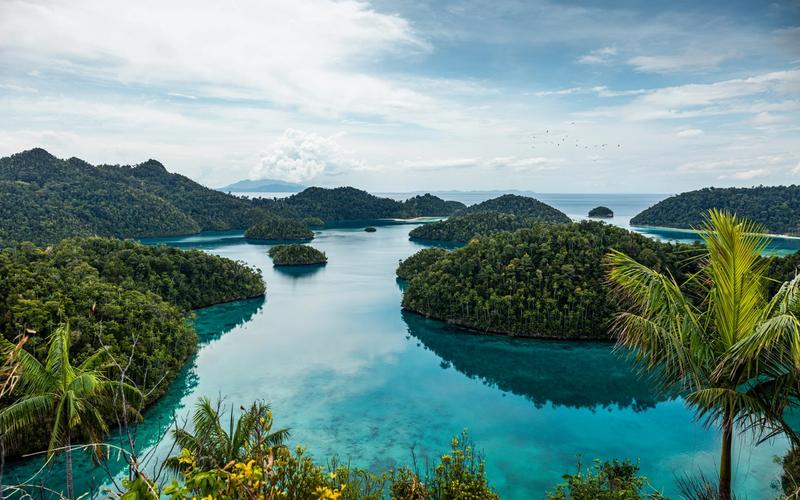 Raja Ampat's limestone islands and shallow turquoise lagoons seen from a viewpoint