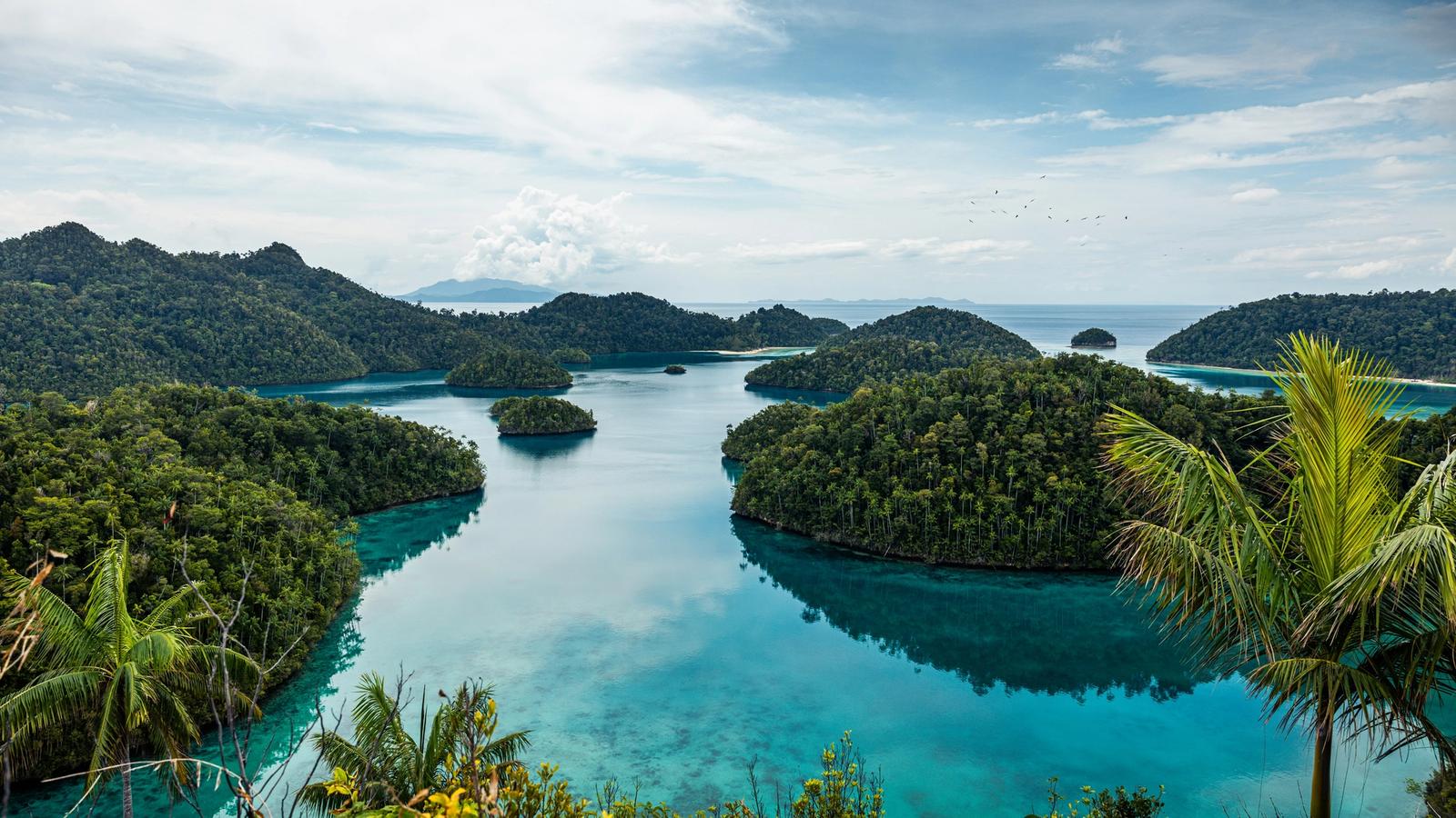 Raja Ampat's limestone islands and shallow turquoise lagoons seen from a viewpoint
