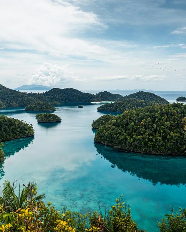 Raja Ampat's limestone islands and shallow turquoise lagoons seen from a viewpoint