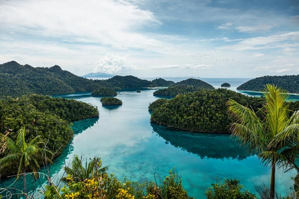 Raja Ampat's limestone islands and shallow turquoise lagoons seen from a viewpoint