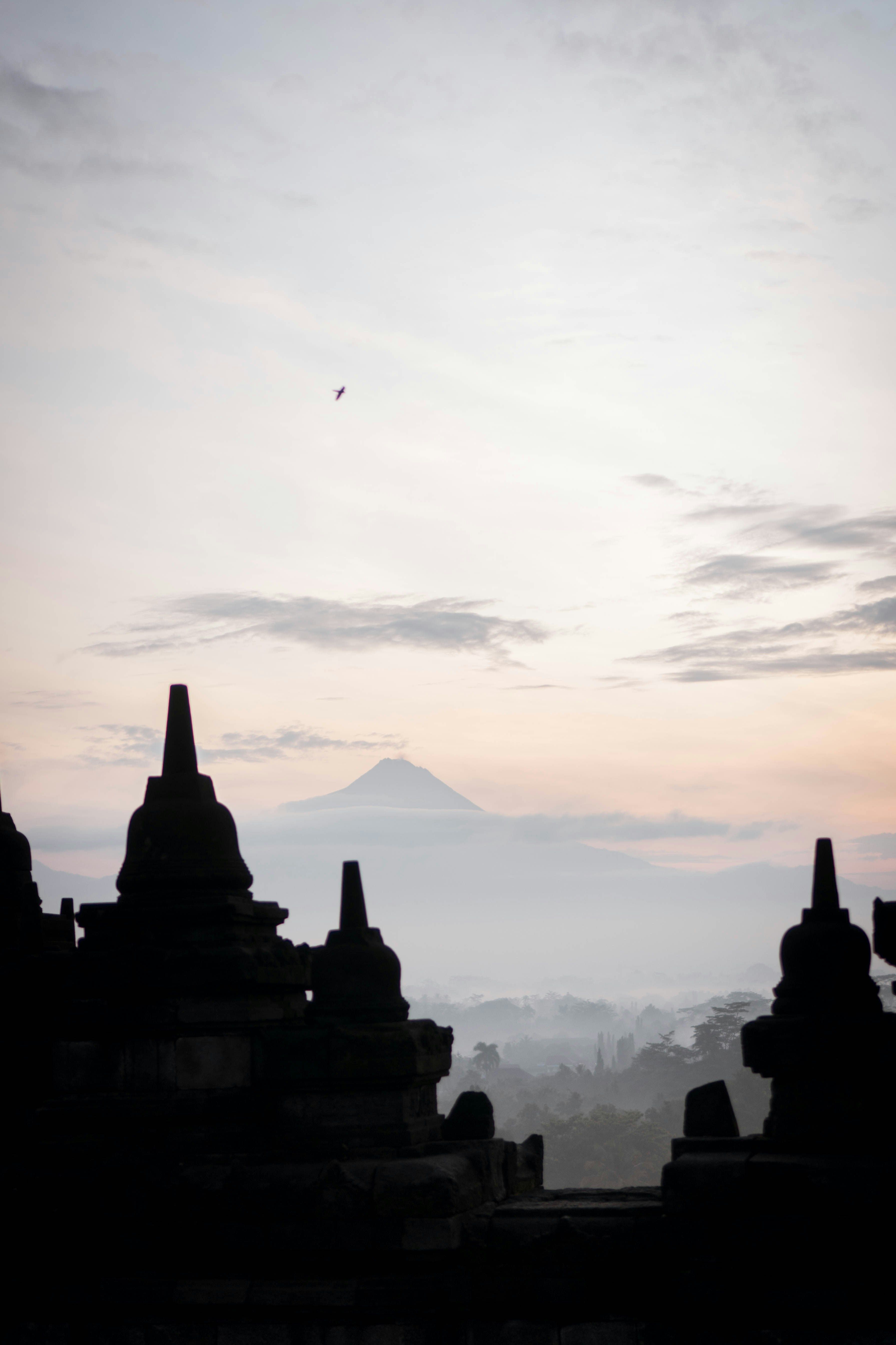 Java and Bali — Borobudur, Mount Bromo crater and Ubud rice terraces
