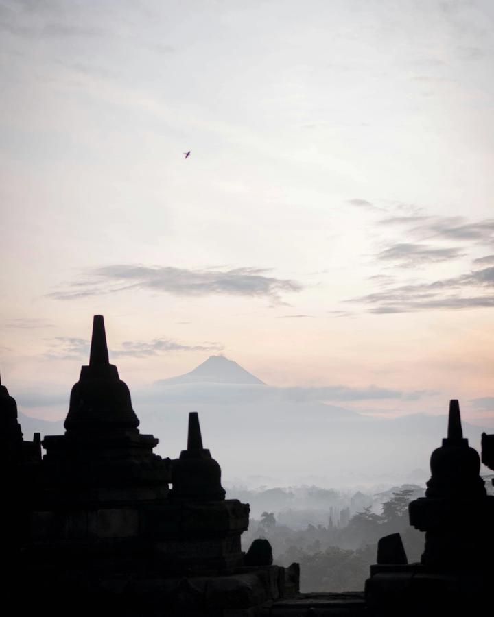 Java and Bali — Borobudur, Mount Bromo crater and Ubud rice terraces