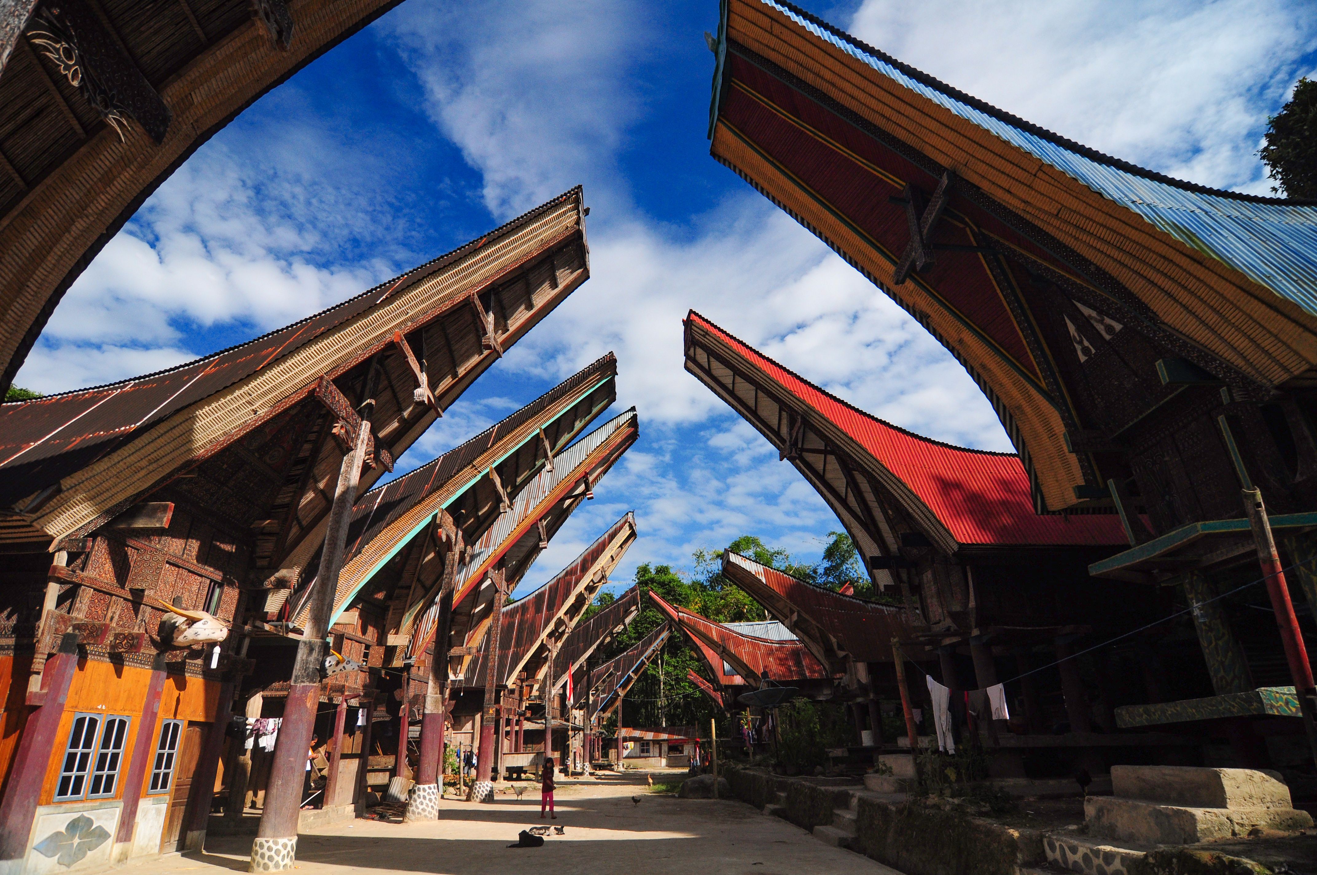 Tongkonan houses with upswept boat-shaped roofs lining a village square in Tana Toraja, Sulawesi
