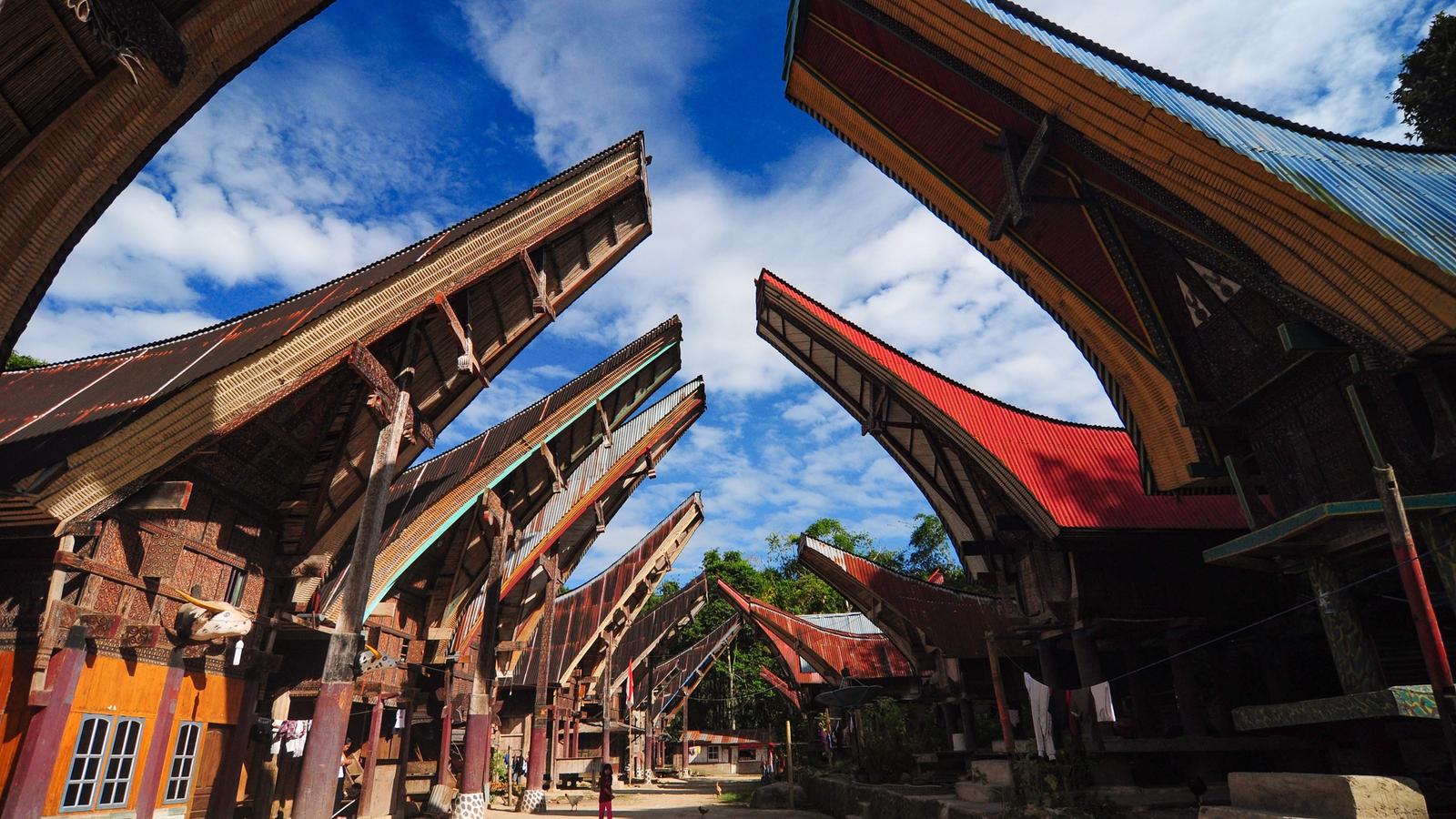Tongkonan houses with upswept boat-shaped roofs lining a village square in Tana Toraja, Sulawesi