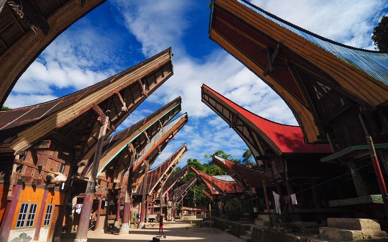 Tongkonan houses with upswept boat-shaped roofs lining a village square in Tana Toraja, Sulawesi
