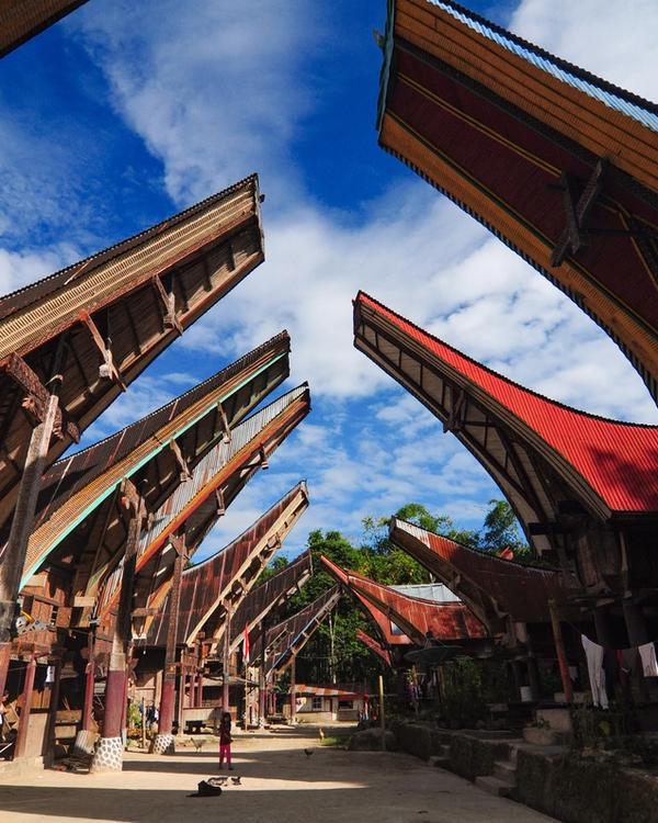 Tongkonan houses with upswept boat-shaped roofs lining a village square in Tana Toraja, Sulawesi