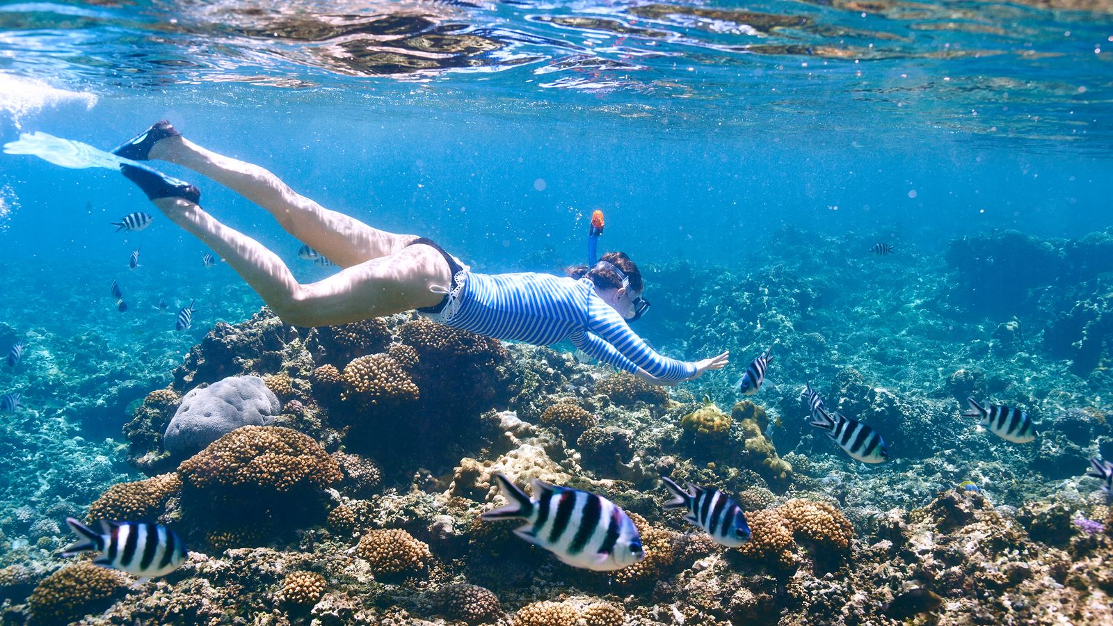 A snorkeller gliding over a coral reef with tropical fish in clear blue water