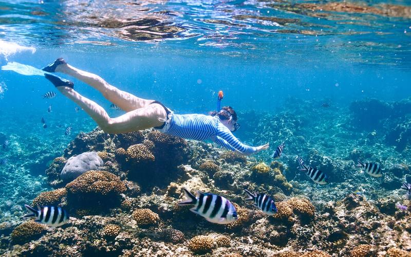 A snorkeller gliding over a coral reef with tropical fish in clear blue water