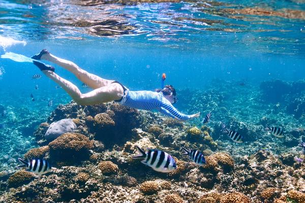 A snorkeller gliding over a coral reef with tropical fish in clear blue water
