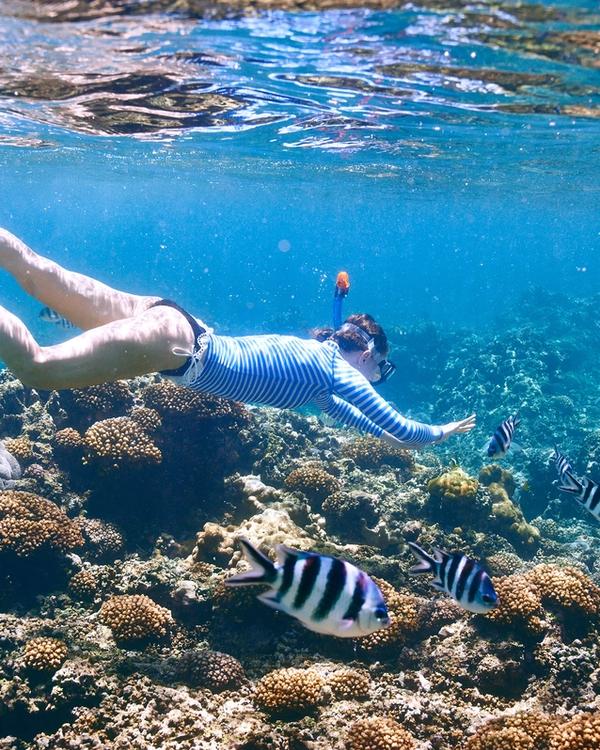 A snorkeller gliding over a coral reef with tropical fish in clear blue water