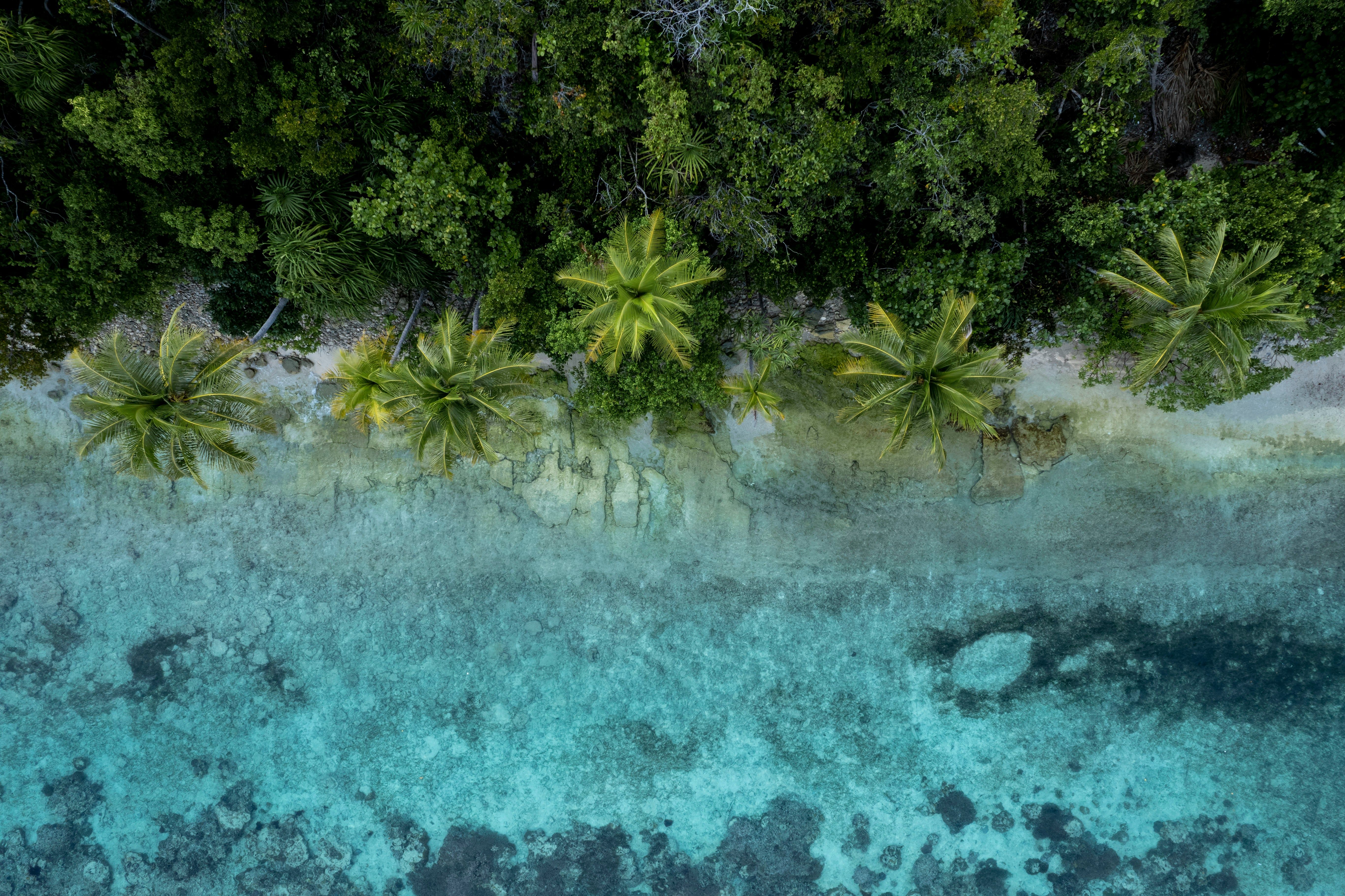 Honeymoon Indonesia — Ubud villas, Komodo private boats and Sumba beaches