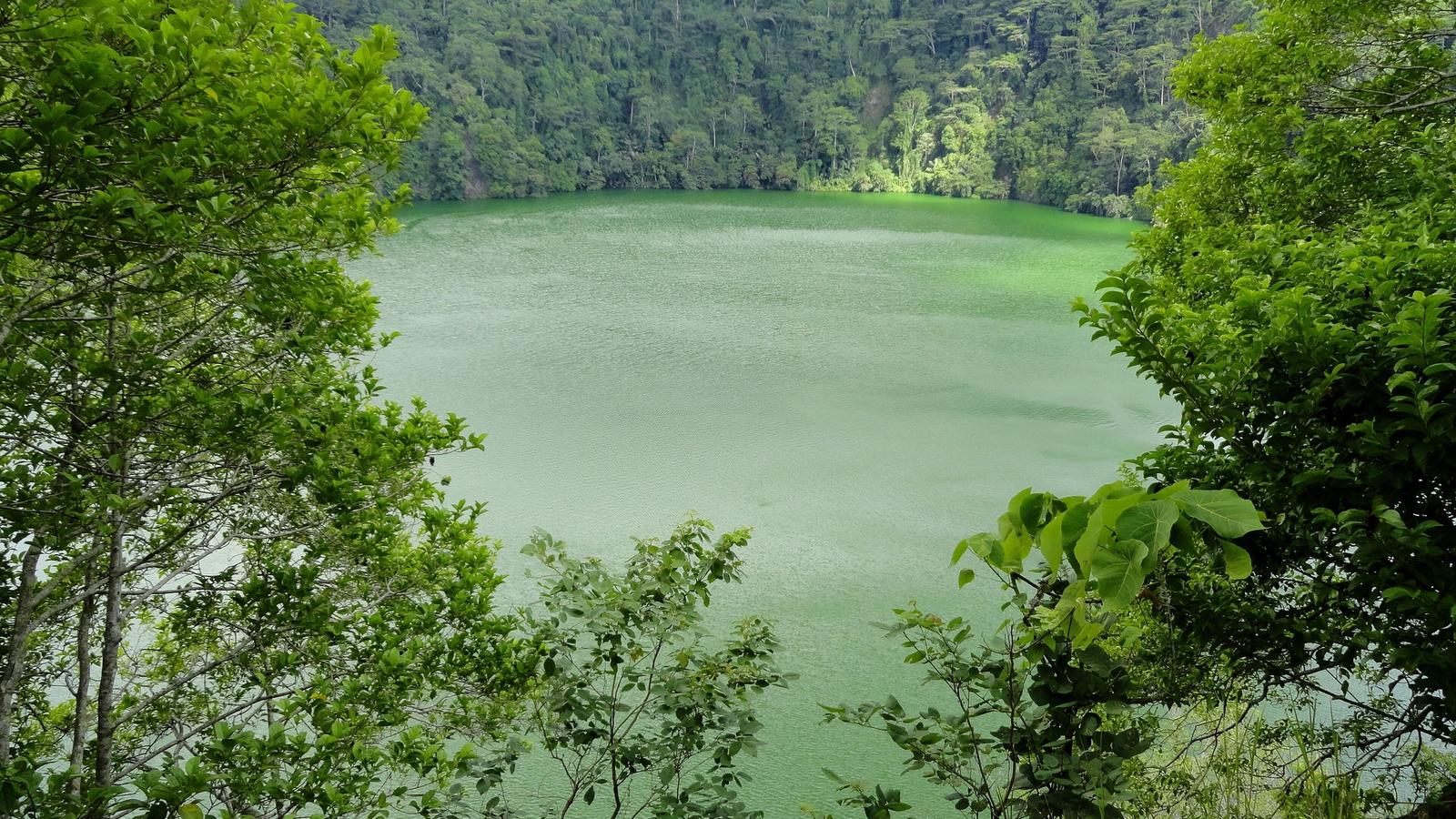 7 Days in Ternate and Tidore: North Malukus Volcano Sultanates — Danau Tolire Besar and Gunung Api Gamalama, Ternate Island, The Moluccas (15197982512)