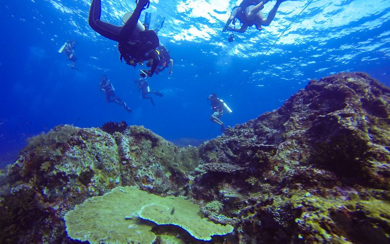 Scuba diver over a coral reef in Komodo National Park, Labuan Bajo