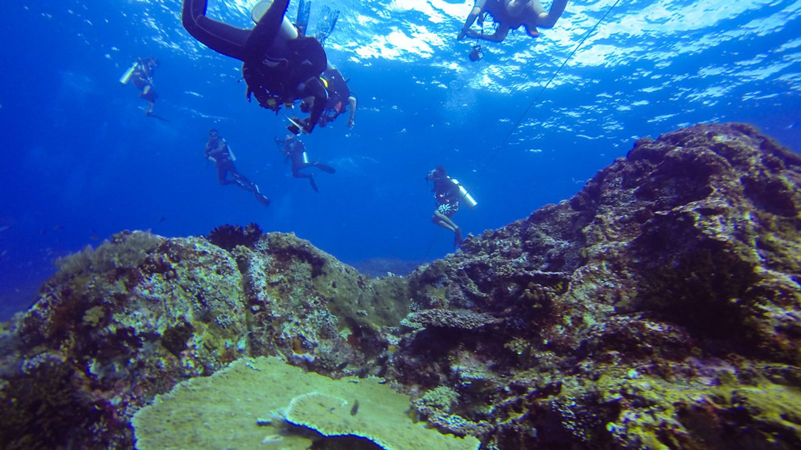 Scuba diver over a coral reef in Komodo National Park, Labuan Bajo