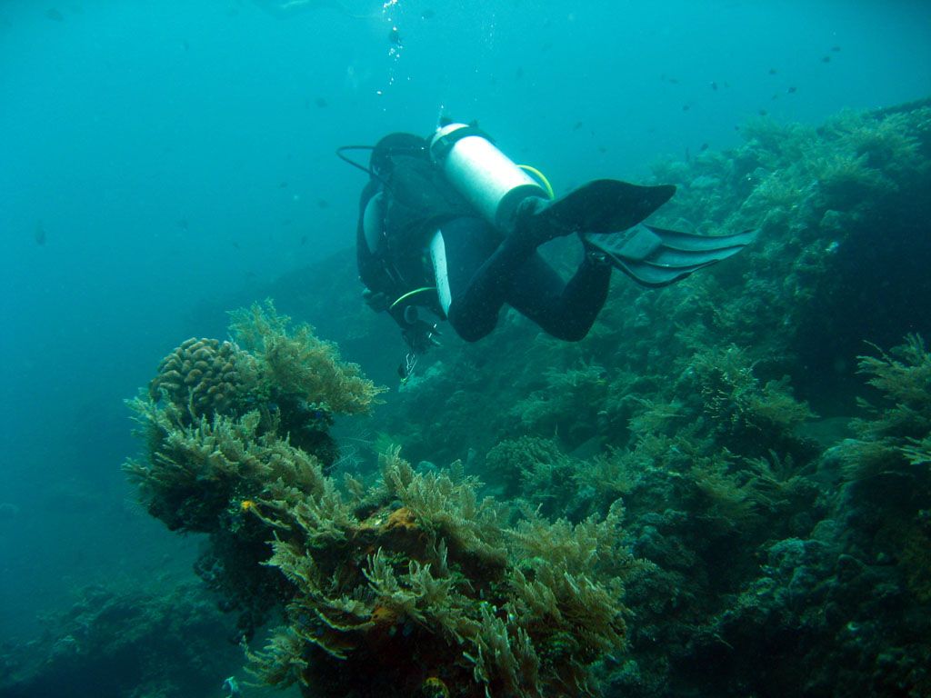 A scuba diver finning over the coral-covered USAT Liberty wreck at Tulamben in east Bali