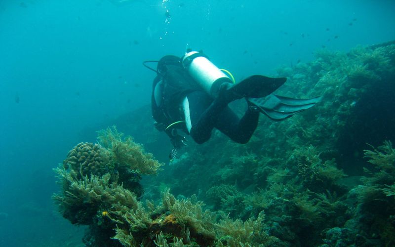A scuba diver finning over the coral-covered USAT Liberty wreck at Tulamben in east Bali
