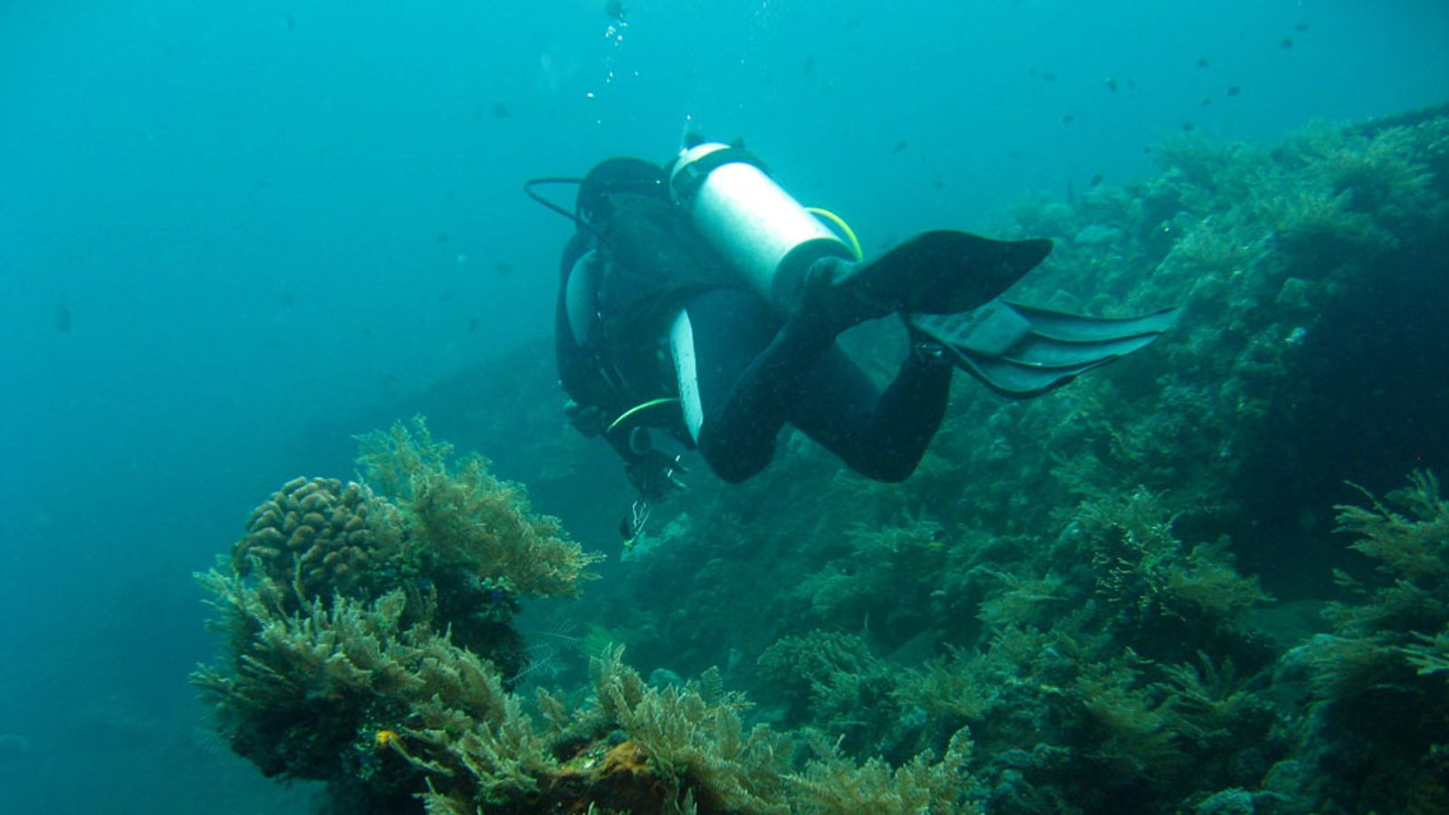 A scuba diver finning over the coral-covered USAT Liberty wreck at Tulamben in east Bali