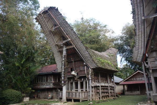 7 Days in South Sulawesi: Makassar, Rammang-Rammang and Toraja — Tana Toraja, Kete Kesu, tongkonan (6823189476)