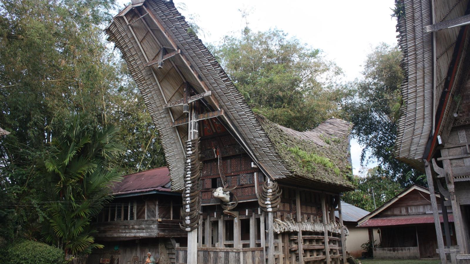 7 Days in South Sulawesi: Makassar, Rammang-Rammang and Toraja — Tana Toraja, Kete Kesu, tongkonan (6823189476)