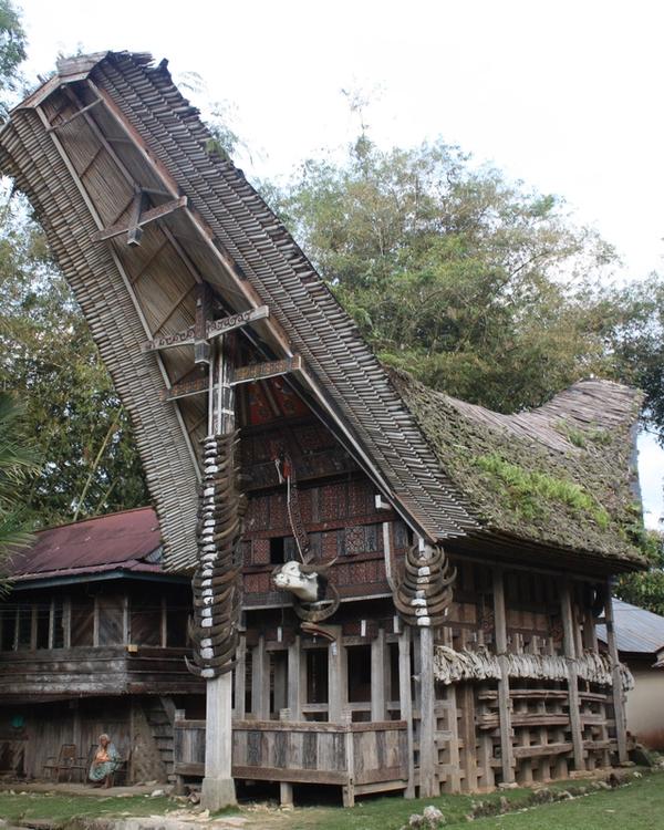 7 Days in South Sulawesi: Makassar, Rammang-Rammang and Toraja — Tana Toraja, Kete Kesu, tongkonan (6823189476)