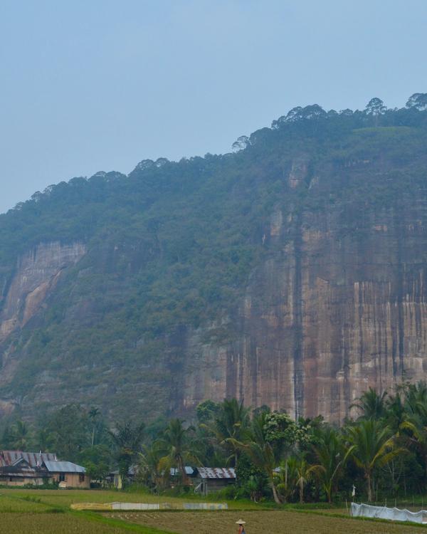 The sheer cliff walls of Harau Valley rising above rice fields and village houses in Lima Puluh Kota, West Sumatra