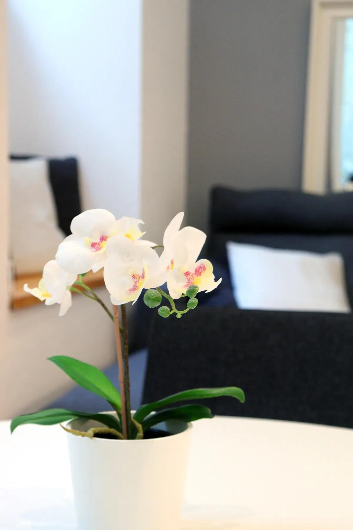 Olival — Historic Charm - Photo 12