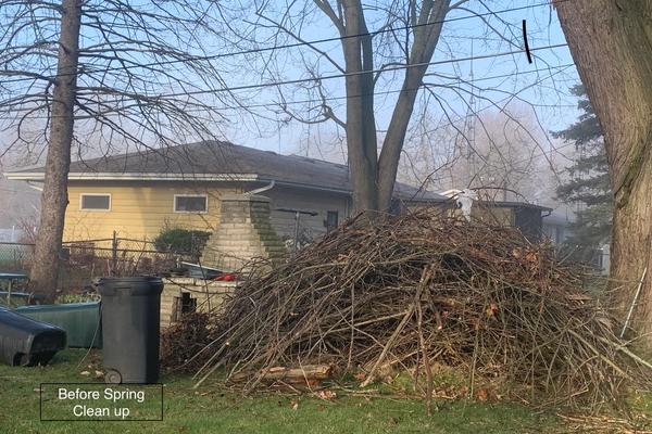 Spring Cleanup before view 
