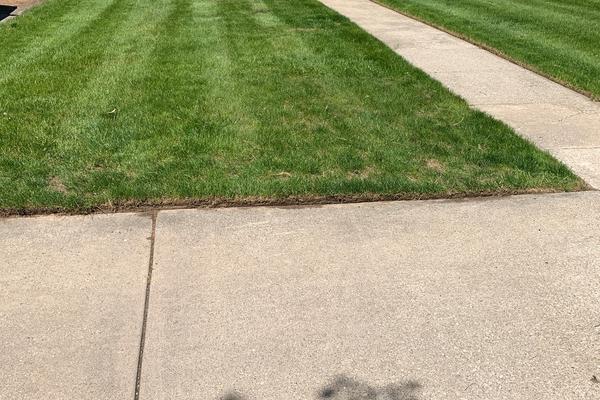 Freshly mowed and edged yard 