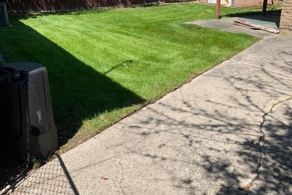 A beautiful view in the backyard 