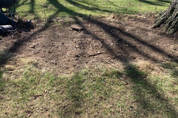 My first spring ‘26 cleanup after view