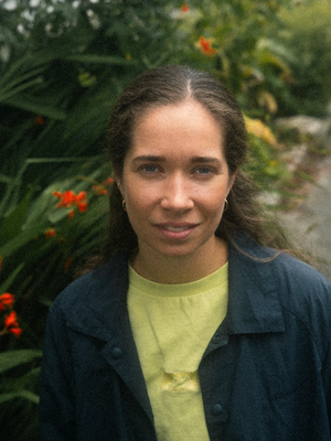 Mindre plateselskaper er i ferd med å vinne terreng.