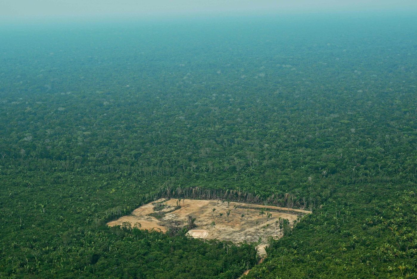 Aerial view of deforestation in the Western Amazon region of Brazil on September 22, 2017. 
 Parts of the Western Amazon rainforest have suffered some of the heaviest deforestion in the Amazon as a whole, with figures puting it at a third higher than last year. Illegal logging has been hard to police in a country in economic crisis.  / AFP PHOTO / CARL DE SOUZA / TO GO WITH AFP STORY by PAULA RAMON