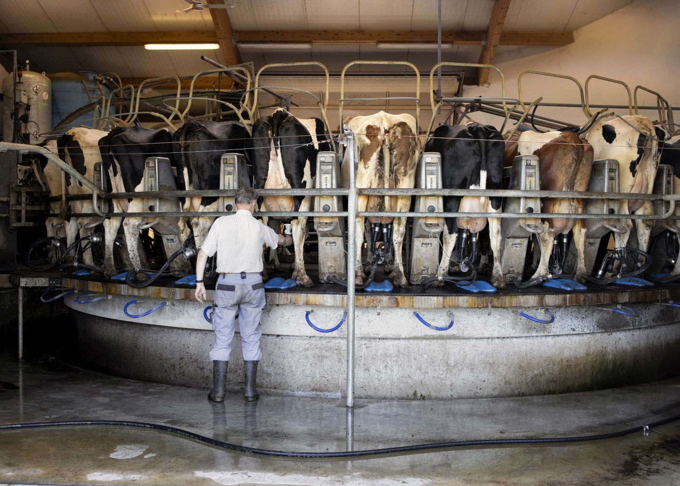 Kobylin-Borzymy, June 9, 2019 
  
 The farm of Pawel Kossakowski 
  
 Kobylin-Borzymy is a rural community in Wysokie Mazowieckie County, about 2½ hour drive northeast of Warsaw, where the ruling party of Law and Justice has a support of above 85% voters. 
  
  
 Photo by Maciek Nabrdalik / VII