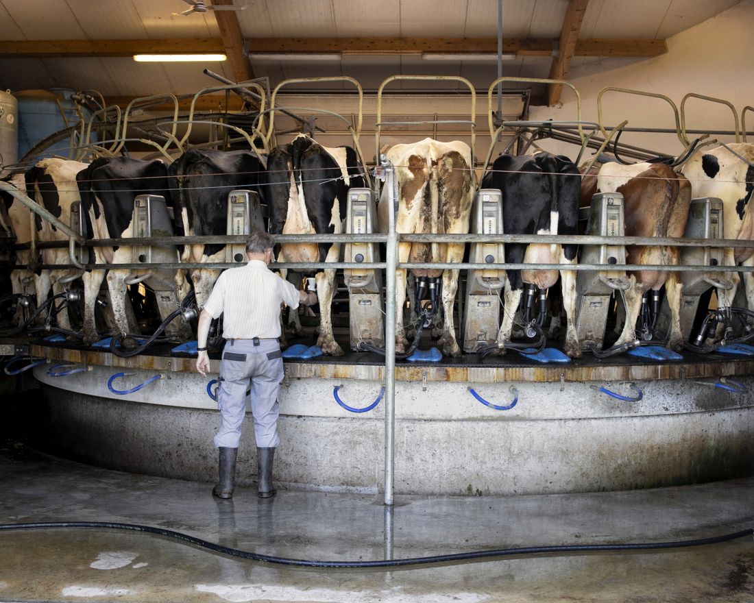 Kobylin-Borzymy, June 9, 2019 
  
 The farm of Pawel Kossakowski 
  
 Kobylin-Borzymy is a rural community in Wysokie Mazowieckie County, about 2½ hour drive northeast of Warsaw, where the ruling party of Law and Justice has a support of above 85% voters. 
  
  
 Photo by Maciek Nabrdalik / VII