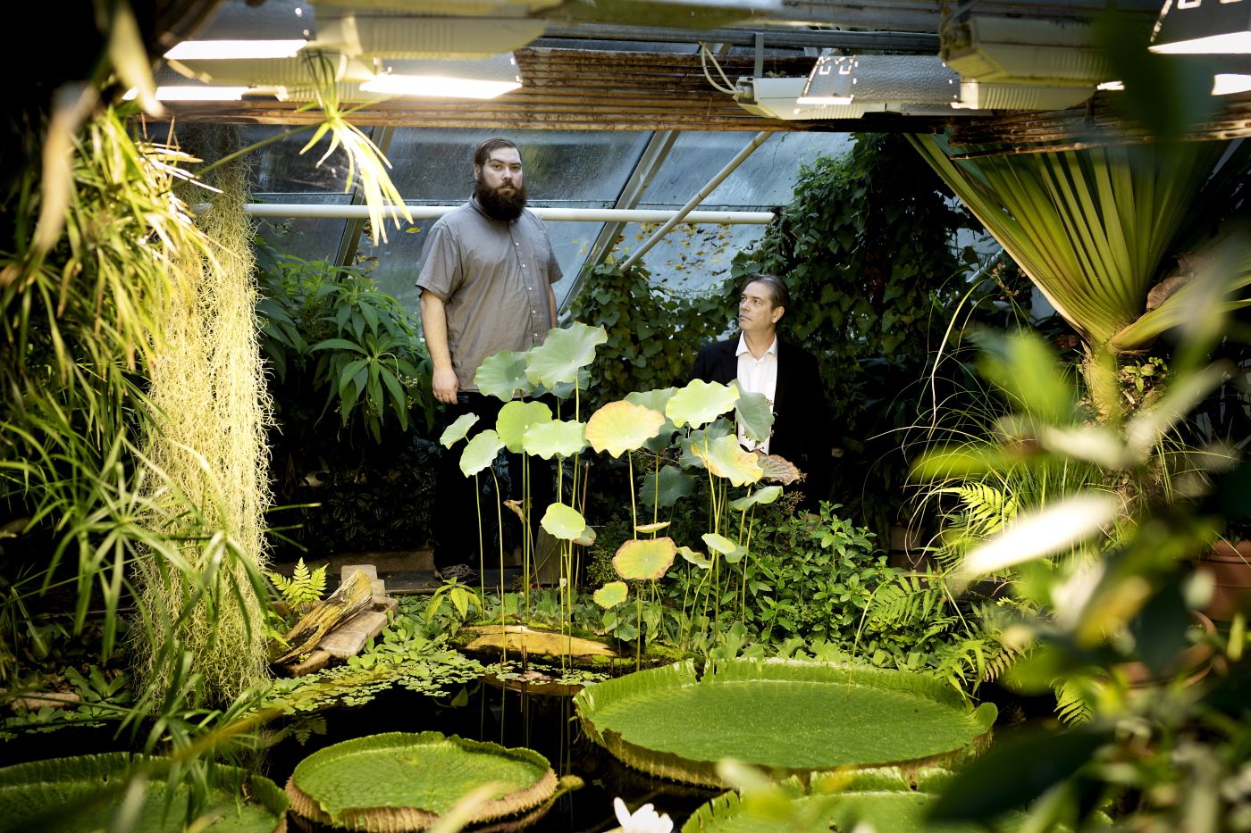 Oslo, Norge, 05.11..2018. Ingvar Skjerve og Wegard Harsvik presenterer sin nye bok Homo Solidaricus. Foto: Christopher Olssøn.