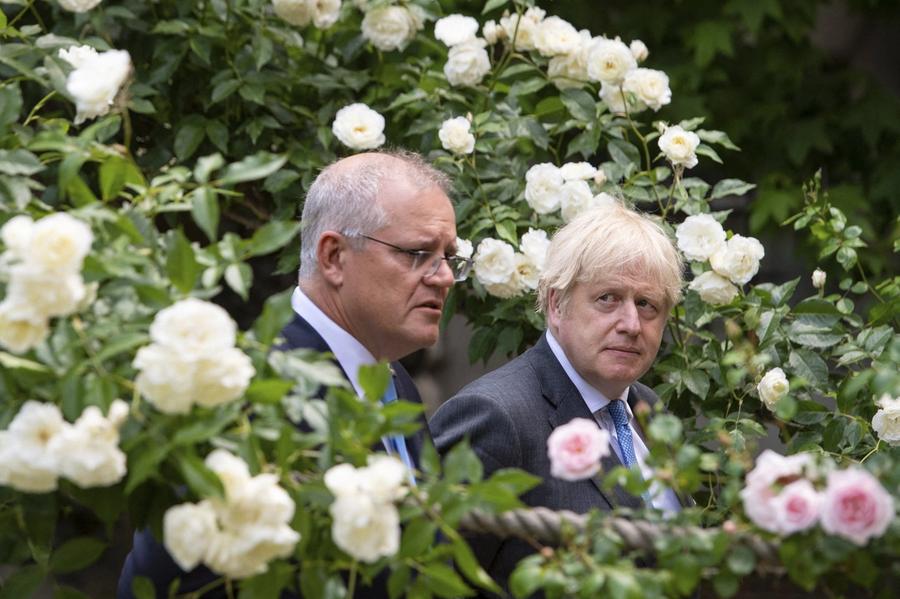Flere tar til orde for at Australias statsminister Scott Morrison skal hente hjem Julian Assange.