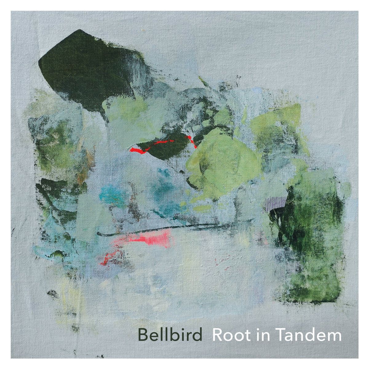 Bellbird