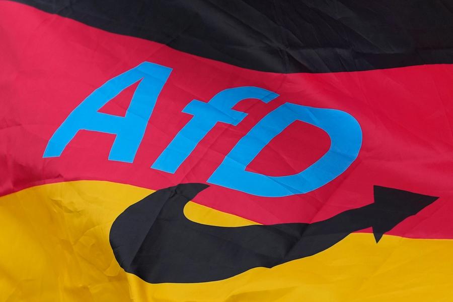  «AFDs Program likner foruro­li­gende mye dem fra mørkere deler av tysk historie»