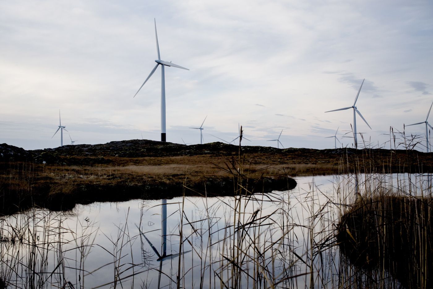 Diverse bilder fra vindkraftkommunen smøla