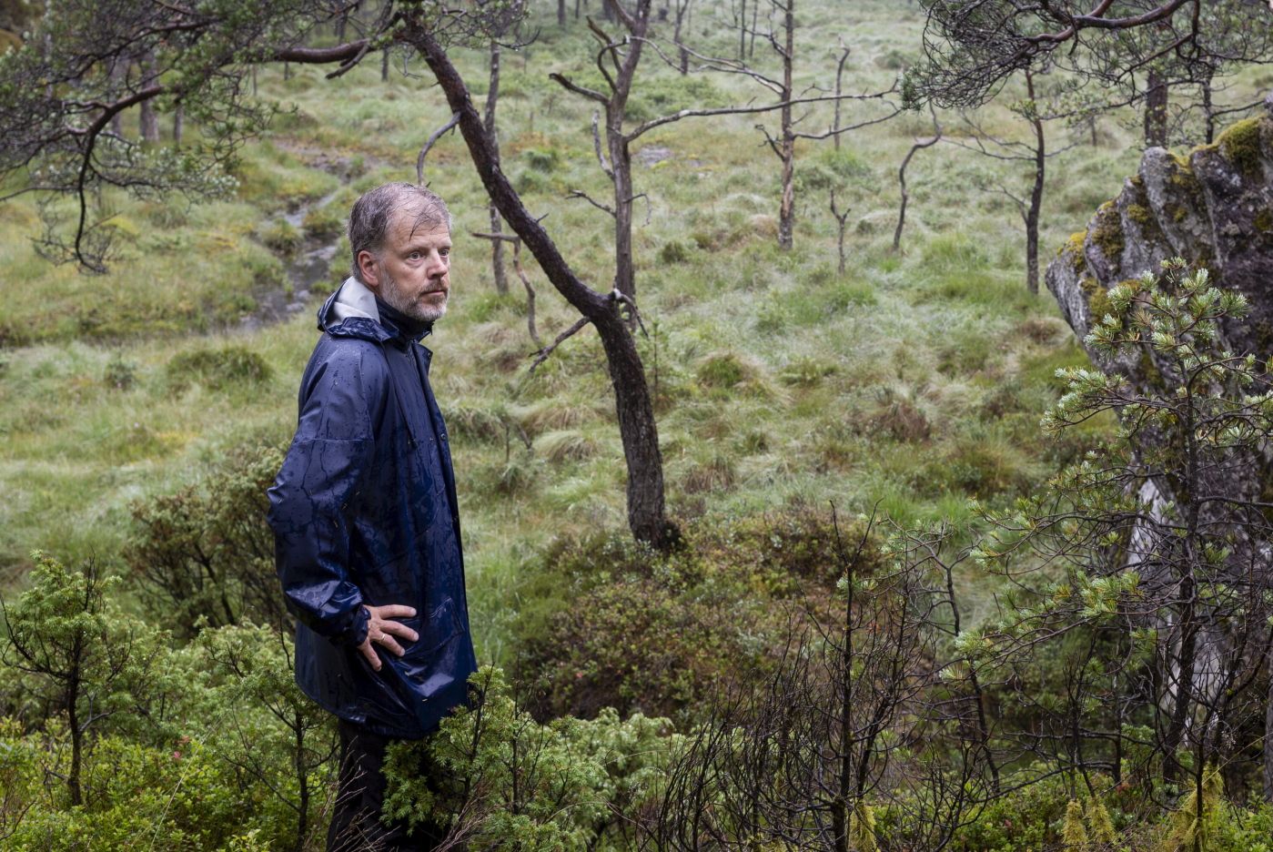 Jan Rivenæs på leiting etter raudlisteartar i regnskogen på Reksteren