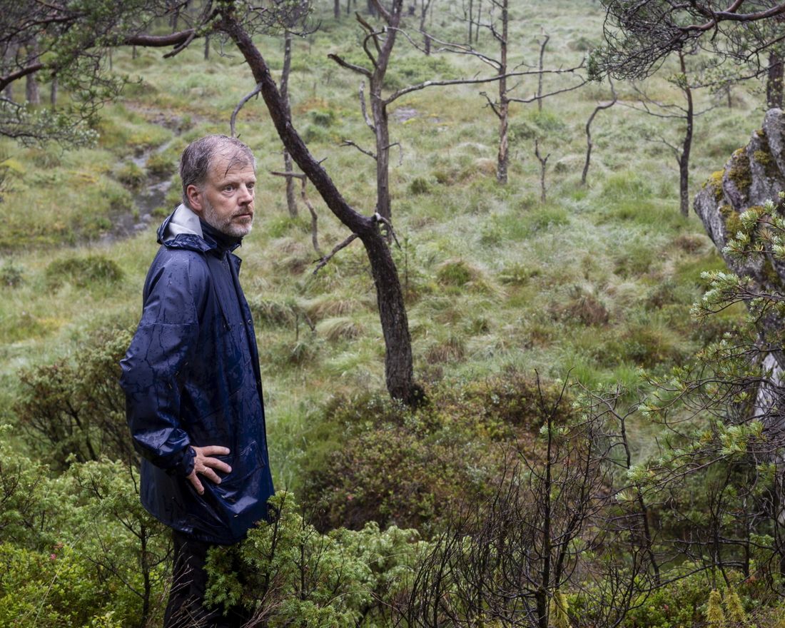 Jan Rivenæs på leiting etter raudlisteartar i regnskogen på Reksteren