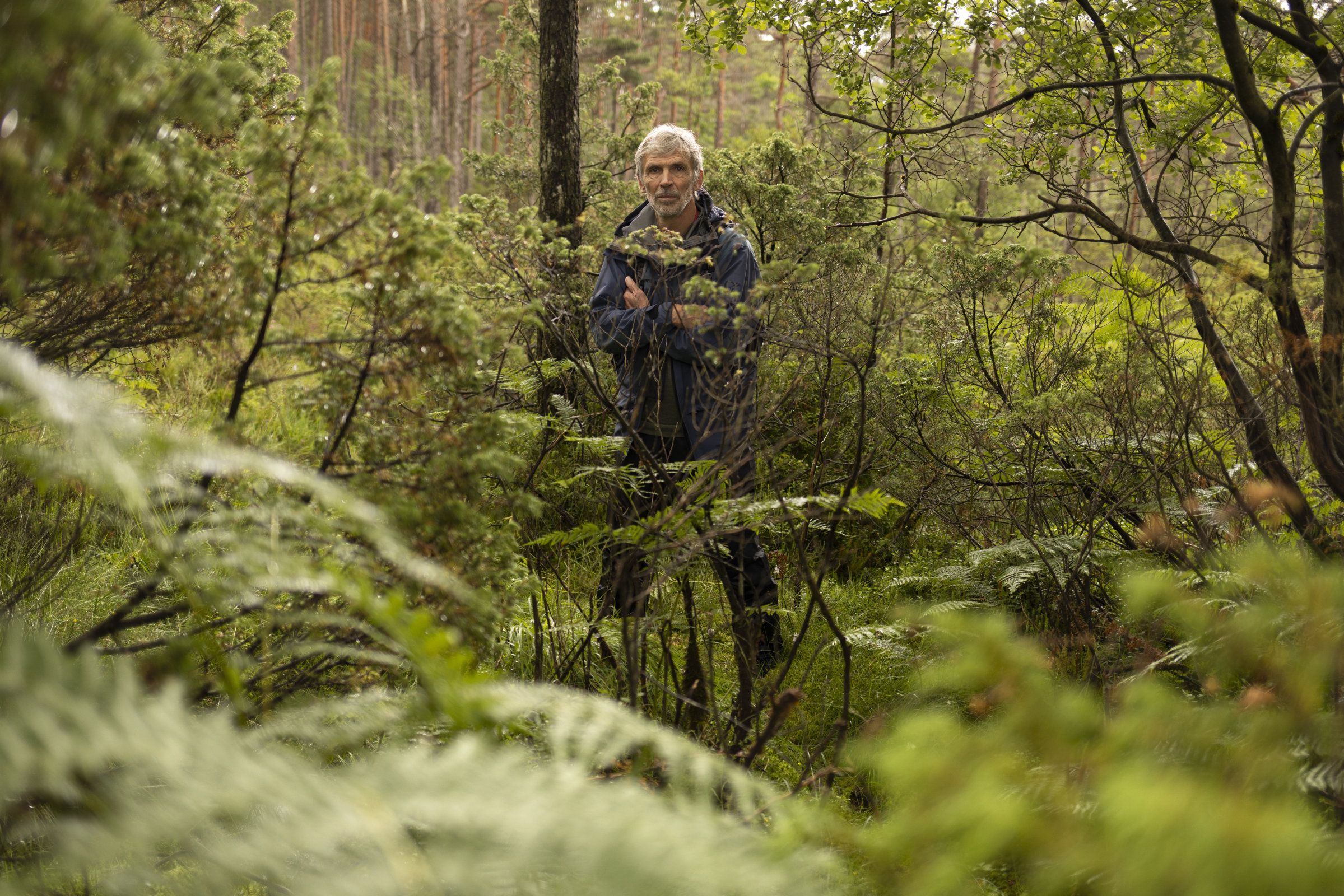 Innenriks: Hordfast: firefelts motorvei gjennom regnskog. Avbildet: Per Fadnes, biolog. Bildet tatt på den planlagte traséen. 
 Foto: Eline Benjaminsen