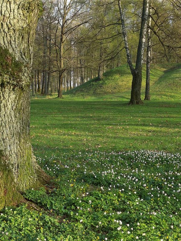 Hvorfor åpnet man gravhauger på slutten av 900-tallet? Kanskje kristne forestillinger kan gi oss nye innsikter.