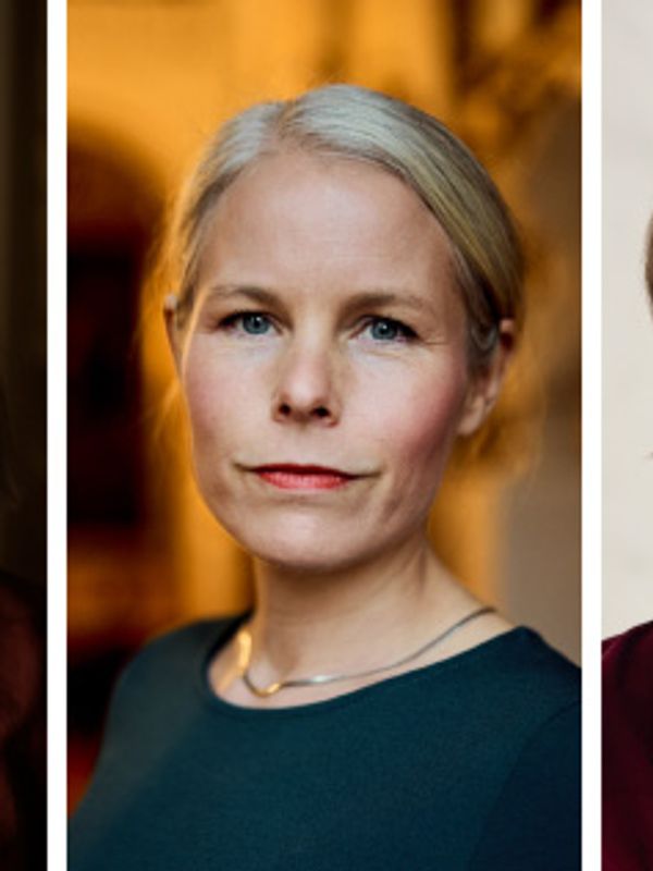 Meiner Arbeidarpartiet har kjøpt NHOs forteljing om barnevernet