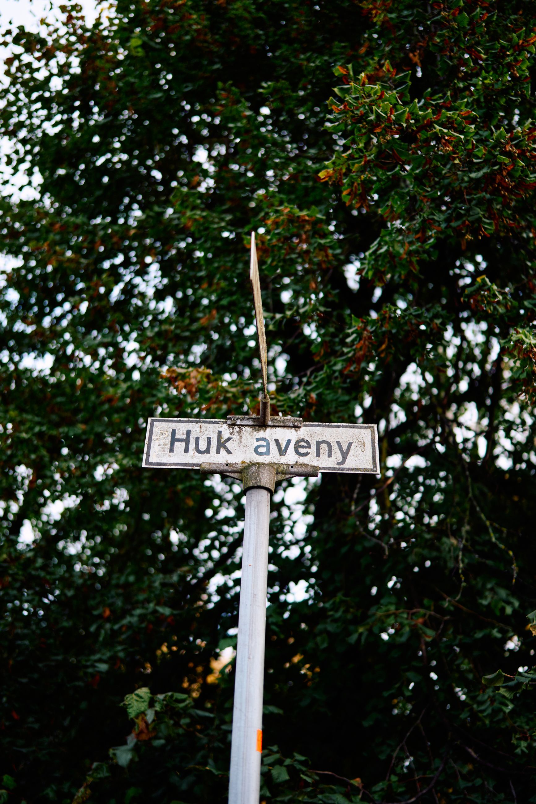 PRYDGATE: Bare adressa gjør at du får på deg blazeren, uttalte en mekler til Aftenposten en gang. Historisk har Bygdøy vært et oppholdssted for konger og geistlige. Slik blir det fornemme gatenavn av.